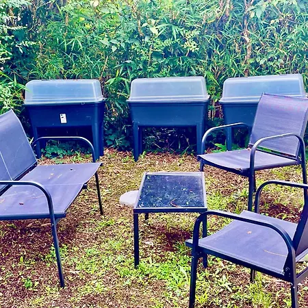 Proche Kedge Et Universitee Cosy Avec Parking ,cuisine Equipee ,sdb Et Jardin *